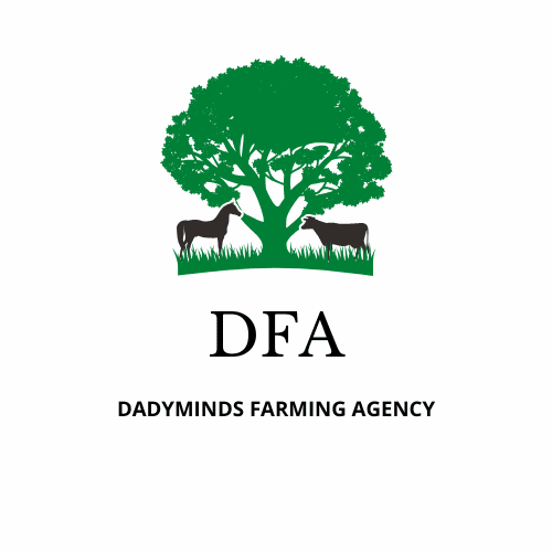 DADYMINDS Farming Agency (DFA) Department